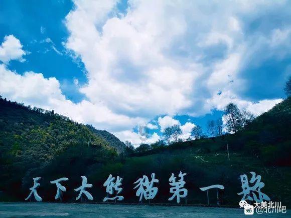 健脑美食大奉送，让孩子越吃越聪明，考试门门都优秀